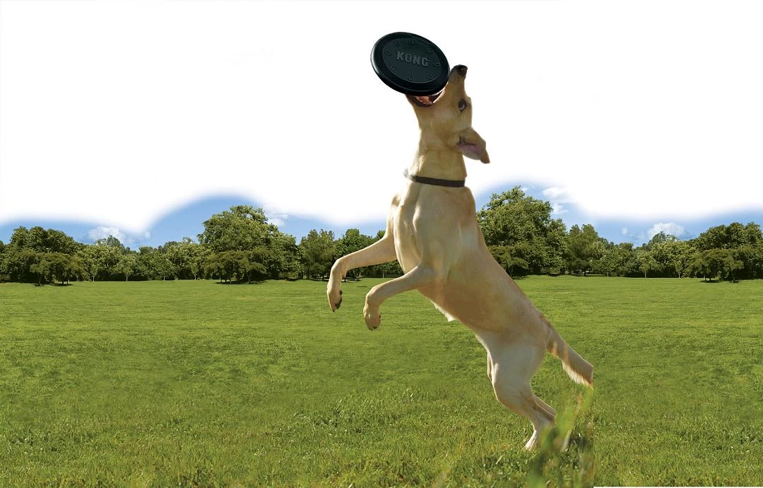 Kong Extreme Flyer 5 Kong Extreme Flyer - Afbeelding 3