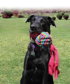 Kong Wubba Weaves Assorti 13 Kong Wubba Weaves Assorti -Dierenwinkel 0035585800899 75 89 met hond