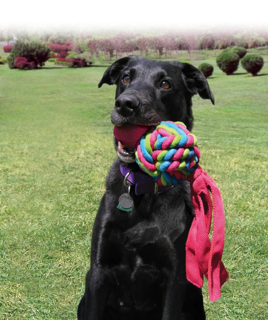 Kong Wubba Weaves Assorti 6 Kong Wubba Weaves Assorti - Afbeelding 4