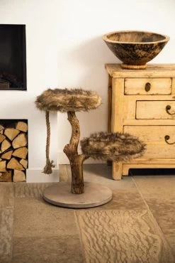 Designed By Lotte Krabpaal Aviva 9 Designed By Lotte Krabpaal Aviva -Dierenwinkel 0408865 sfeer1