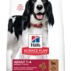 Hill's Science Plan Adult Medium Lam & Rijst 12 Kg -Dierenwinkel 052742025865 2