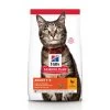 Hill's Science Plan Adult Kip 3 Kg -Dierenwinkel 052742030838 2