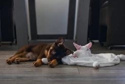 Beeztees Puppy Knuffeldoek Unicorn M -Dierenwinkel 0619491 sfeer1