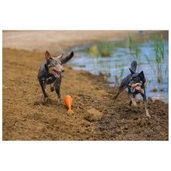 Beeztees Apportino Boei -Dierenwinkel 0625882 2