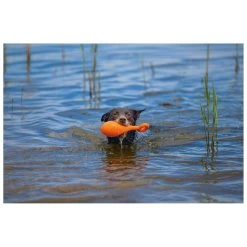 Beeztees Apportino Boei -Dierenwinkel 0625882 3