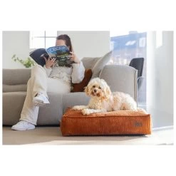 Designed By Lotte Hondenkussen Ribbed Terracotta -Dierenwinkel 0716267 3