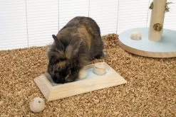 Beeztees Braingame Ballira Mint 9 Beeztees Braingame Ballira Mint -Dierenwinkel 0811115 sfeer1