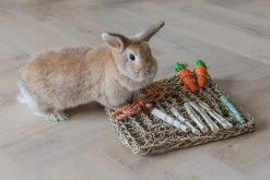 Beeztees Knaagdierspeelmat Nature 8 Beeztees Knaagdierspeelmat Nature -Dierenwinkel 0811182 sfeer2