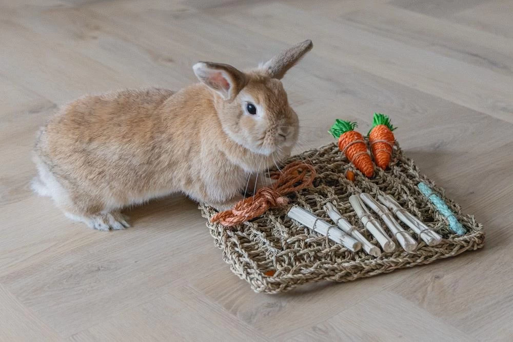 Beeztees Knaagdierspeelmat Nature 5 Beeztees Knaagdierspeelmat Nature - Afbeelding 4