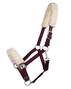 QHP Halster Florence