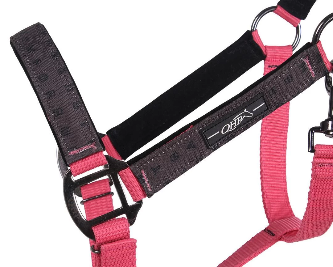 QHP Halsterset Met Turnout Collection 4 QHP Halsterset Met Turnout Collection - Afbeelding 2
