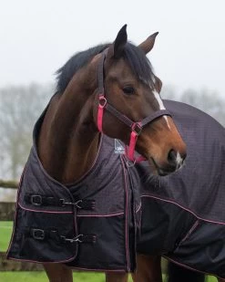 QHP Halsterset Met Turnout Collection 7 QHP Halsterset Met Turnout Collection -Dierenwinkel 1108pzl 2