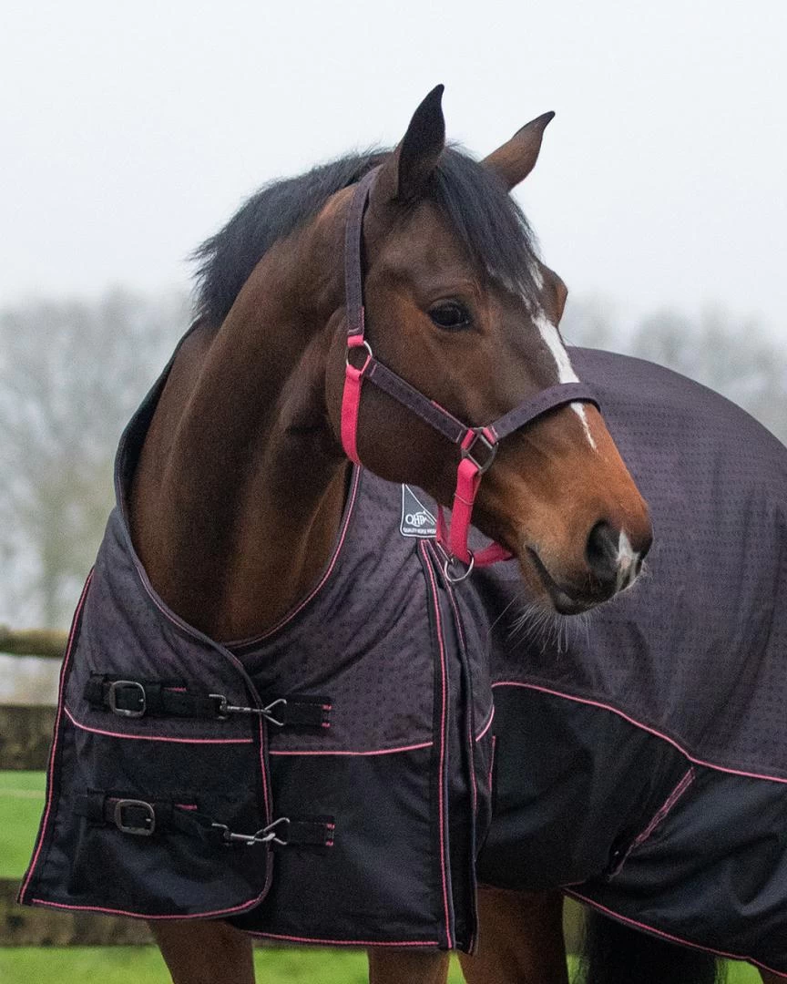 QHP Halsterset Met Turnout Collection 5 QHP Halsterset Met Turnout Collection - Afbeelding 3