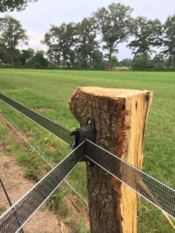 Excellent Isolator Lint Dura-klem Tot 40 Mm 7 Excellent Isolator Lint Dura-klem Tot 40 Mm -Dierenwinkel 17859