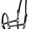 Harry's Horse Lederen Halster Crystal Pony/veulen -Dierenwinkel 28500301