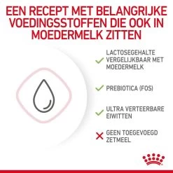 Royal Canin Kattenvoer Babycat Milk 300 Gr -Dierenwinkel 3182550710862 2