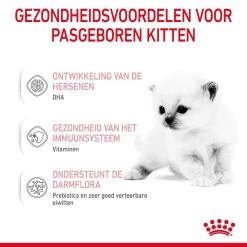 Royal Canin Kattenvoer Babycat Milk 300 Gr -Dierenwinkel 3182550710862 3
