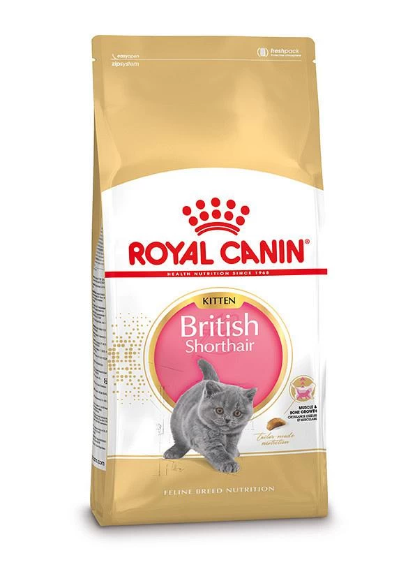 Royal Canin Kattenvoer British Shorthair Kitten 2 Kg 3 Royal Canin Kattenvoer British Shorthair Kitten 2 Kg