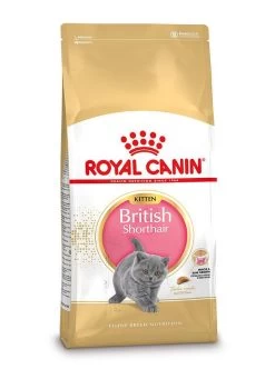 Royal Canin Kattenvoer British Shorthair Kitten 10 Kg