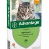 Advantage Kat 40 4 Pipetten -Dierenwinkel 4007221047407