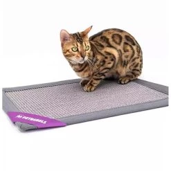 Petrebels Mastermat 60 Grey -Dierenwinkel 431442 Mastermat 60 1