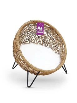 Petrebels Kattenmand House Of Heaven Amsterdam 47 Sand