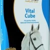 EquiFirst Vital Cube 20 Kg 2 EquiFirst Vital Cube 20 Kg -Dierenwinkel 502002 EQF Vital Cube Petit Def