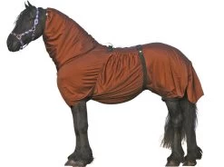 Eczeemdeken Voor Friese Paarden
