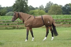 QHP Eczeemdeken Bruin