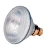 Lamp 100 W Wit Philips Spaar -Dierenwinkel 6098