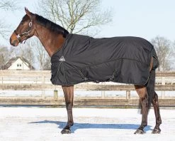 QHP Deken Combo Set Turnout - Onderdeken - Hals Zwart/Twist -Dierenwinkel 6172zwt 3