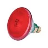Lamp 175 W Rood Philips Spaar -Dierenwinkel 8092
