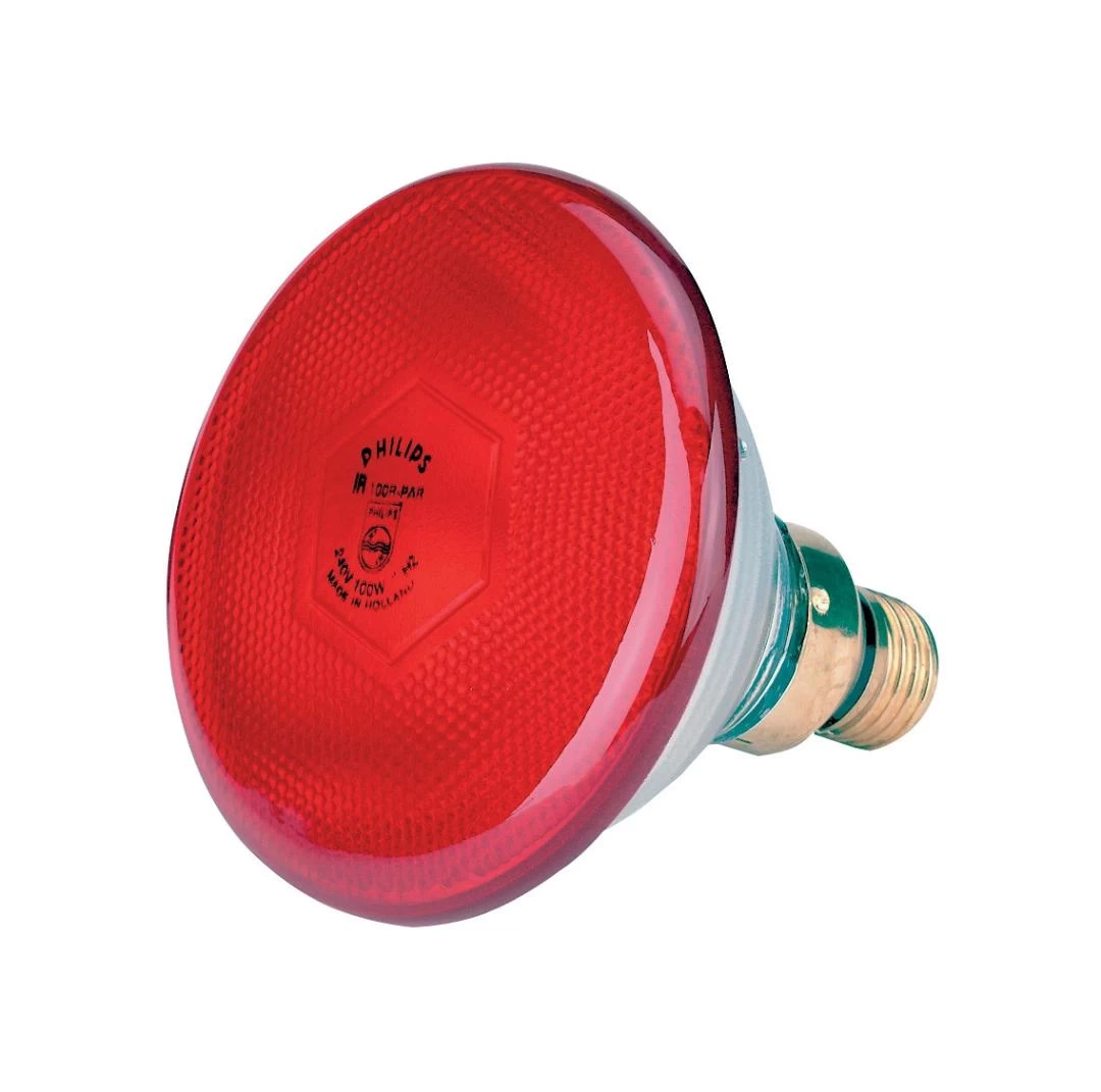 Lamp 175 W Rood Philips Spaar 3 Lamp 175 W Rood Philips Spaar