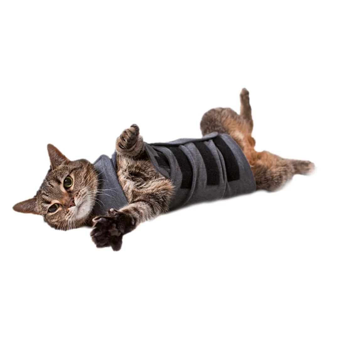 Thundershirt Kat 3 Thundershirt Kat