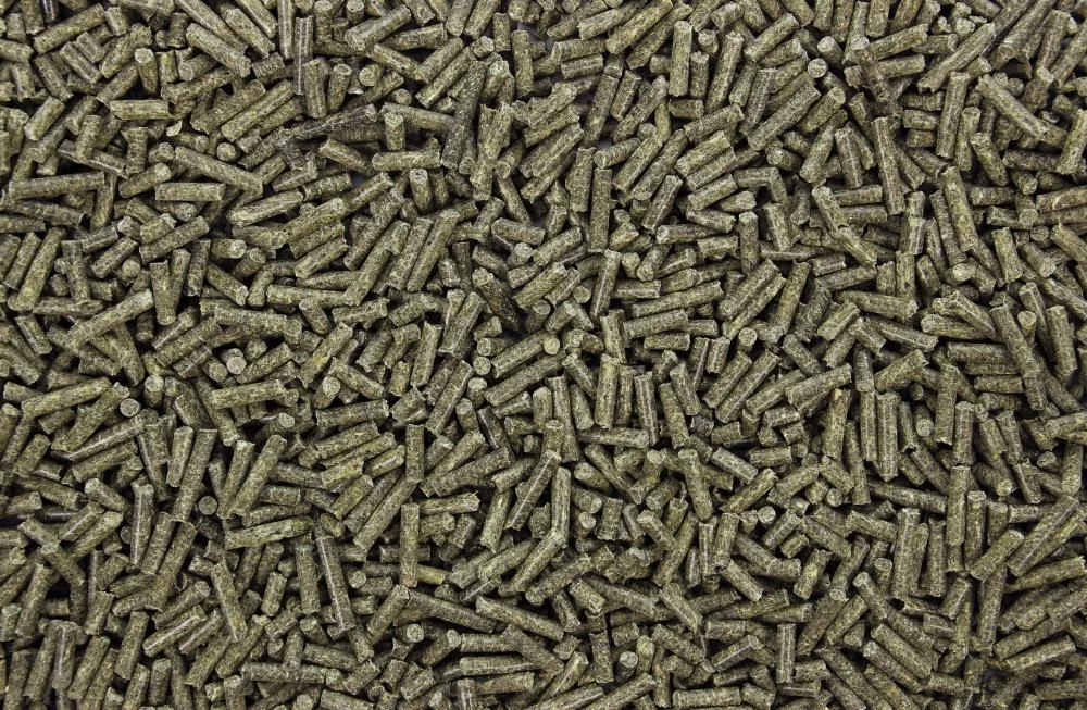 Caviakorrels 4,5 Kg 4 Caviakorrels 4,5 Kg - Afbeelding 2