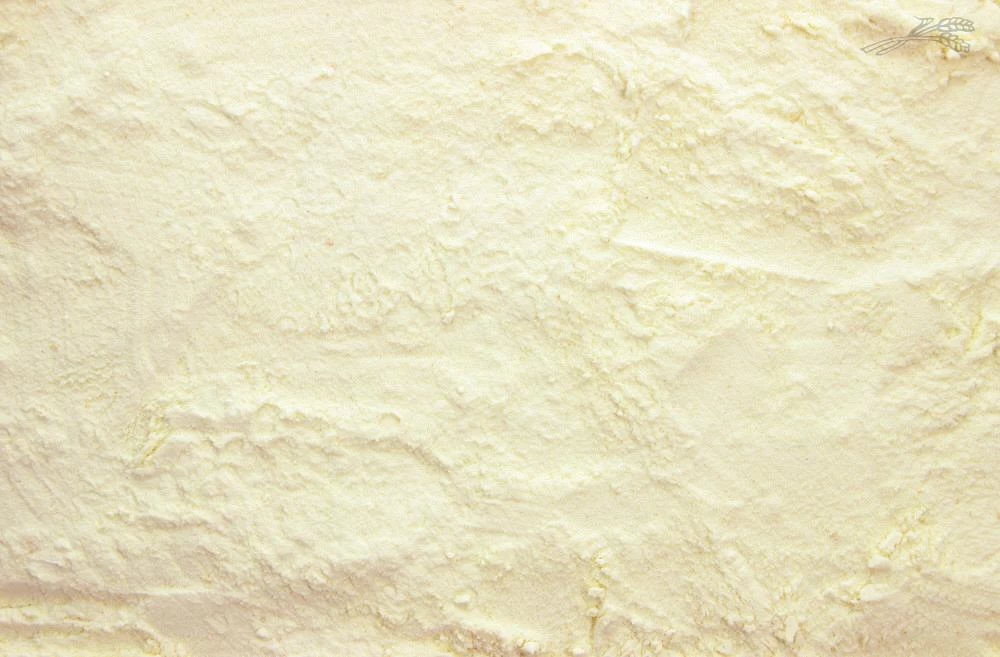 Lammermelkpoeder 2,5 Kg 4 Lammermelkpoeder 2,5 Kg - Afbeelding 2