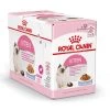 Royal Canin Kattenvoer Kitten In Jelly 12 X 85 Gr -Dierenwinkel 9003579311783