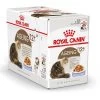 Royal Canin Kattenvoer Ageing 12+ In Jelly 12 X 85 Gr -Dierenwinkel 9003579311813