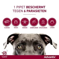 Advantix 400 4 Pipetten -Dierenwinkel Advantix pipettegen6parasieten 3