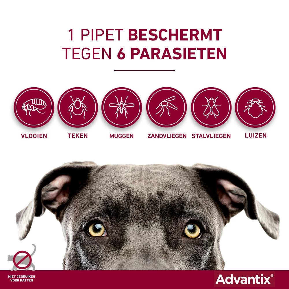 Advantix 600 4 Pipetten 5 Advantix 600 4 Pipetten - Afbeelding 3