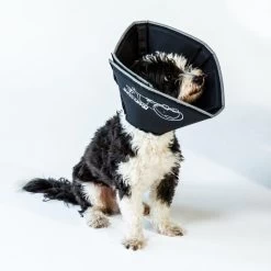 Comfy Cone Black -Dierenwinkel CCM 1