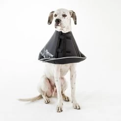 Comfy Cone Black -Dierenwinkel CCML 3