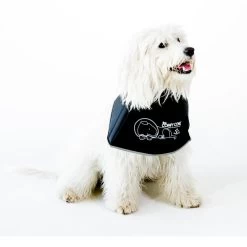 Comfy Cone Black -Dierenwinkel CCS 1