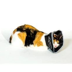 Comfy Cone Black -Dierenwinkel CCS 3