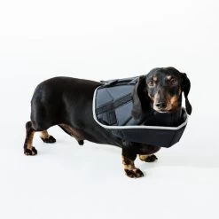 Comfy Cone Black -Dierenwinkel CCSL 3