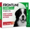 Frontline Combo XL 6 Pipetten -Dierenwinkel ComboXL6Pipet