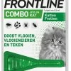Frontline Kitten Pack