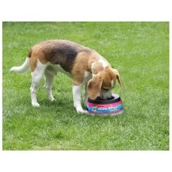 Road Refresher Grijs -Dierenwinkel LGRR 3