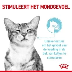 Royal Canin Kattenvoer Sensory Feel In Gravy 12 X 85 Gr -Dierenwinkel RC SPT WET SensFeelMIG CV 1 nl NL