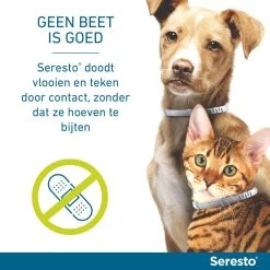 Seresto Band Voor Katten -Dierenwinkel Seresto doodt door contact